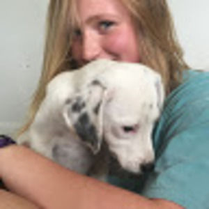 Meet your Posher, Matet